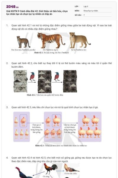 Giải KHTN 9 Cánh diều Bài 42: Giới thiệu về tiến hóa, chọn lọc nhân tạo và chọn lọc tự nhiên có đáp án