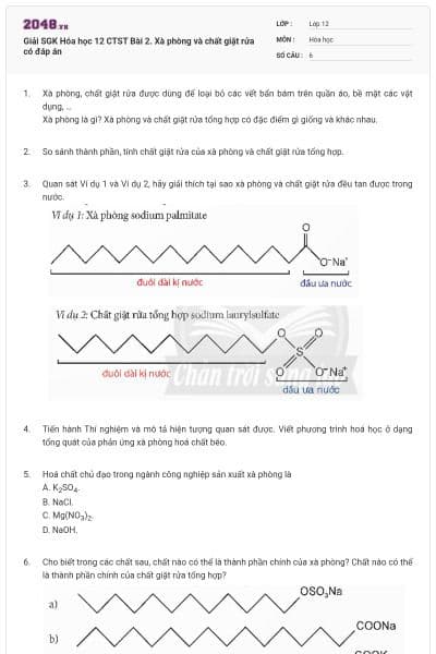 Giải SGK Hóa học 12 CTST Bài 2. Xà phòng và chất giặt rửa có đáp án