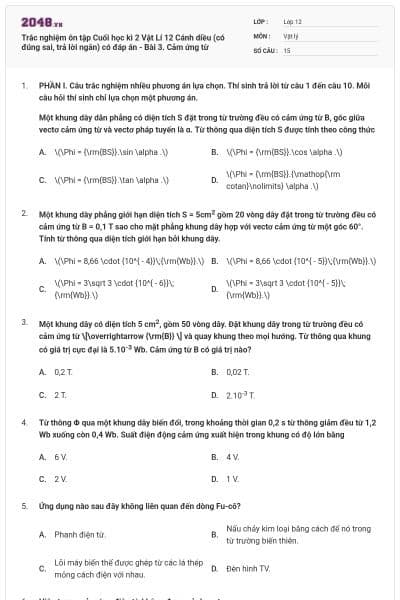 Trắc nghiệm ôn tập Cuối học kì 2 Vật Lí 12 Cánh diều (có đúng sai, trả lời ngắn) có đáp án - Bài 3. Cảm ứng từ