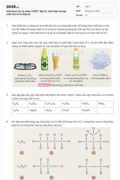 Giải Khoa học tự nhiên 9 KNTT Bài 22: Giới thiệu về hợp chất hữu cơ có đáp án