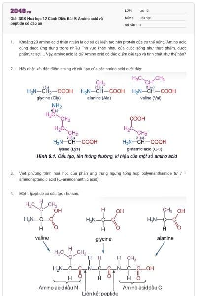 Giải SGK Hoá học 12 Cánh Diều Bài 9: Amino acid và peptide có đáp án
