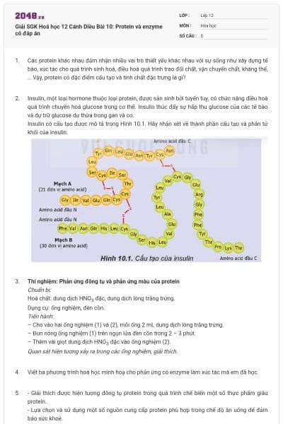 Giải SGK Hoá học 12 Cánh Diều Bài 10: Protein và enzyme có đáp án