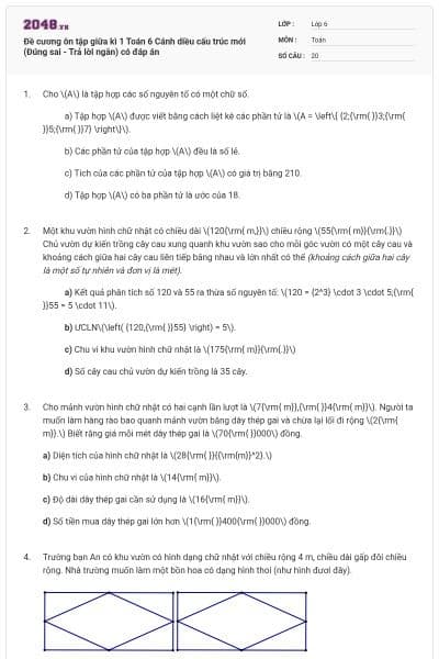 Đề cương ôn tập giữa kì 1 Toán 6 Cánh diều cấu trúc mới (Đúng sai - Trả lời ngắn) có đáp án