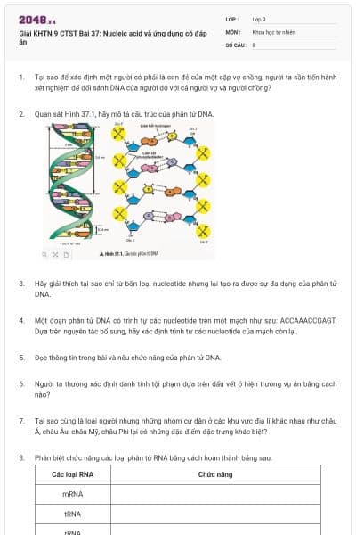 Giải KHTN 9 CTST Bài 37: Nucleic acid và ứng dụng có đáp án