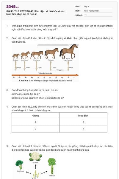 Giải KHTN 9 CTST Bài 46: Khái niệm về tiến hóa và các hình thức chọn lọc có đáp án