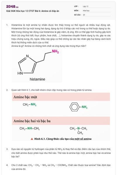 Giải SGK Hóa học 12 CTST Bài 6: Amine có đáp án