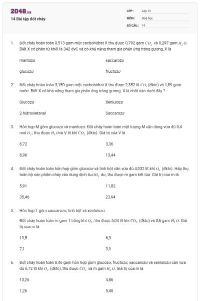 14 Bài tập đốt cháy