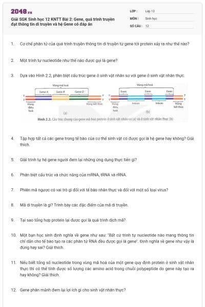 Giải SGK Sinh học 12 KNTT Bài 2: Gene, quá trình truyền đạt thông tin di truyền và hệ Gene có đáp án