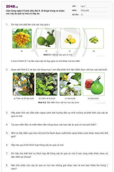 Giải Công nghệ 9 Cánh diều Bài 8. Kĩ thuật trồng và chăm sóc cây ăn quả có múi có đáp án
