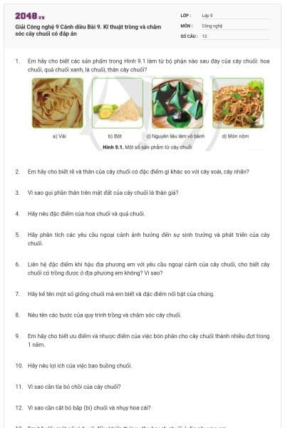 Giải Công nghệ 9 Cánh diều Bài 9. Kĩ thuật trồng và chăm sóc cây chuối có đáp án