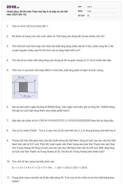 Chinh phục đề thi môn Toán vào lớp 6 có đáp án chi tiết năm 2024 (Đề 16)