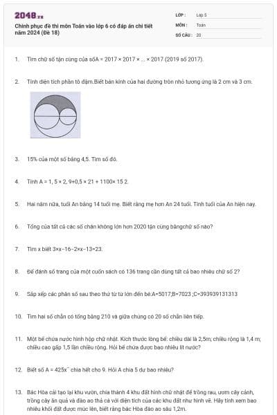 Chinh phục đề thi môn Toán vào lớp 6 có đáp án chi tiết năm 2024 (Đề 18)