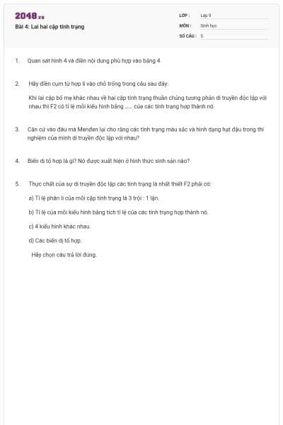 Bài 4: Lai hai cặp tính trạng