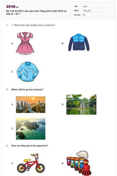 Bộ 3 đề thi KSCL đầu năm môn Tiếng Anh 6 năm 2025 có đáp án - Đề 1