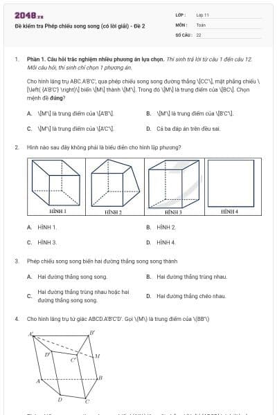 Đề kiểm tra Phép chiếu song song (có lời giải) - Đề 2