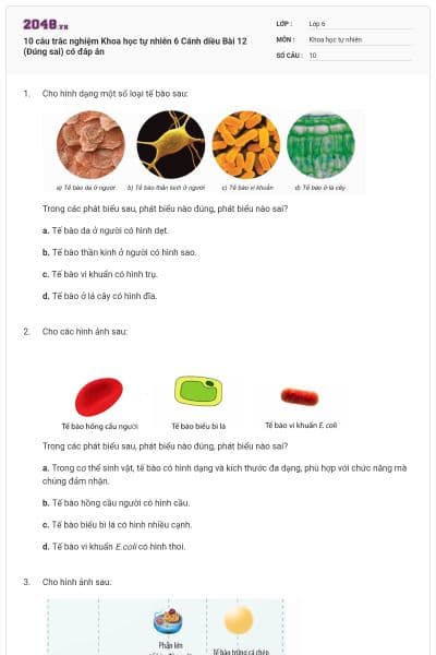 10 câu trắc nghiệm Khoa học tự nhiên 6 Cánh diều Bài 12 (Đúng sai) có đáp án