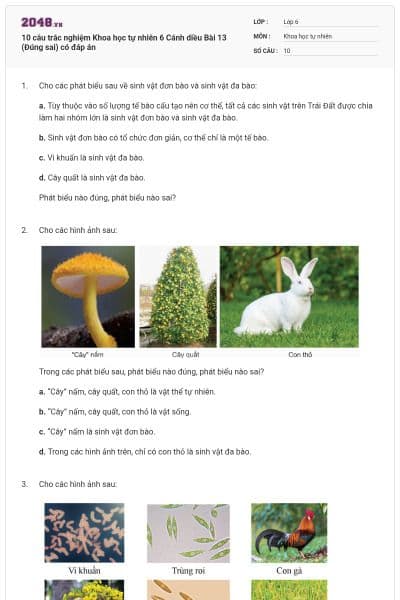 10 câu trắc nghiệm Khoa học tự nhiên 6 Cánh diều Bài 13 (Đúng sai) có đáp án
