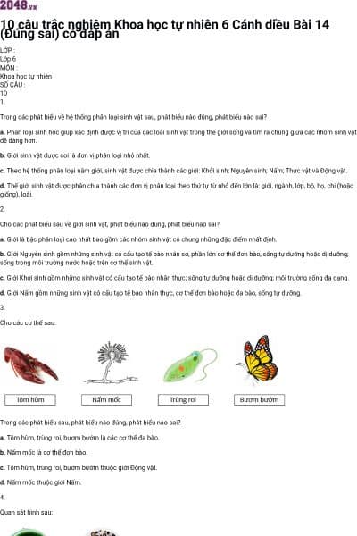 10 câu trắc nghiệm Khoa học tự nhiên 6 Cánh diều Bài 14 (Đúng sai) có đáp án