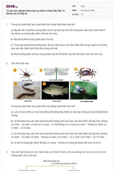 10 câu trắc nghiệm Khoa học tự nhiên 6 Cánh diều Bài 15 (Đúng sai) có đáp án