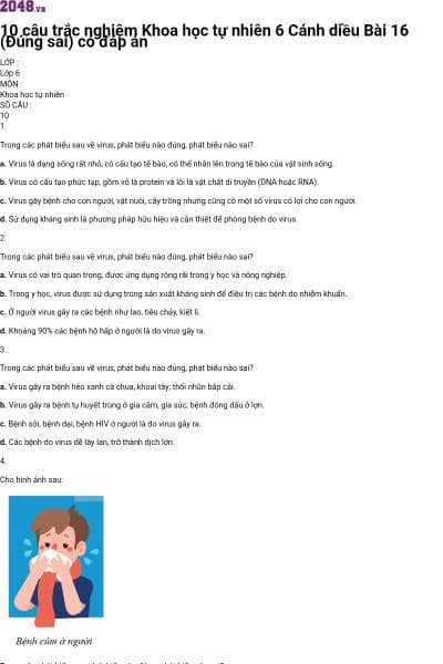10 câu trắc nghiệm Khoa học tự nhiên 6 Cánh diều Bài 16 (Đúng sai) có đáp án