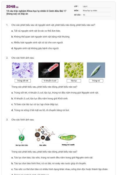 10 câu trắc nghiệm Khoa học tự nhiên 6 Cánh diều Bài 17 (Đúng sai) có đáp án