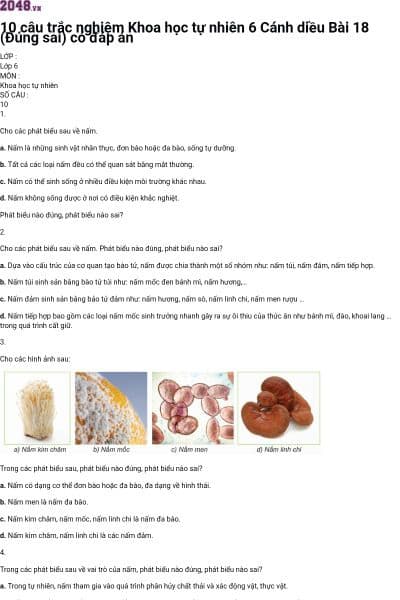 10 câu trắc nghiệm Khoa học tự nhiên 6 Cánh diều Bài 18 (Đúng sai) có đáp án