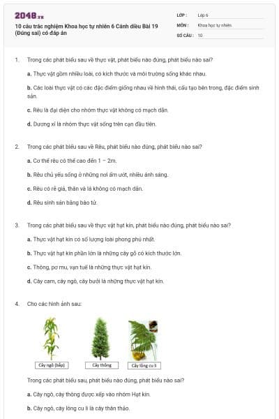 10 câu trắc nghiệm Khoa học tự nhiên 6 Cánh diều Bài 19 (Đúng sai) có đáp án