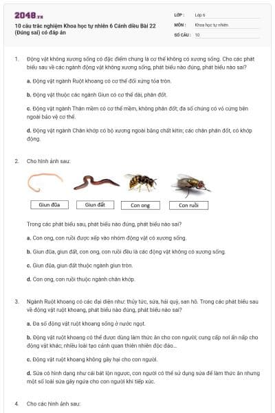 10 câu trắc nghiệm Khoa học tự nhiên 6 Cánh diều Bài 22 (Đúng sai) có đáp án