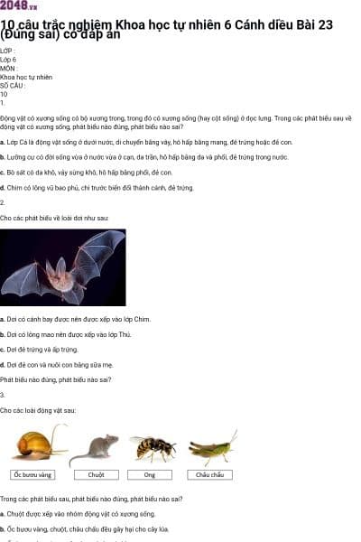 10 câu trắc nghiệm Khoa học tự nhiên 6 Cánh diều Bài 23 (Đúng sai) có đáp án