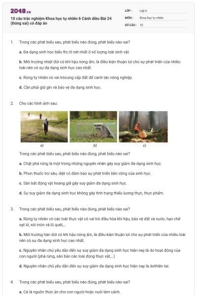 10 câu trắc nghiệm Khoa học tự nhiên 6 Cánh diều Bài 24 (Đúng sai) có đáp án