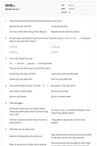 Bài kiểm tra số 1