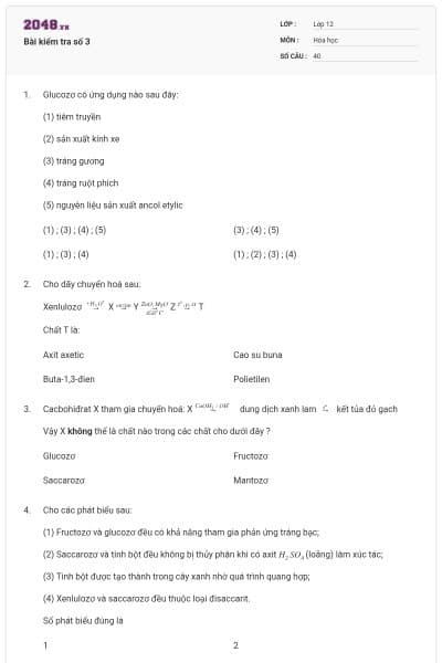 Bài kiểm tra số 3