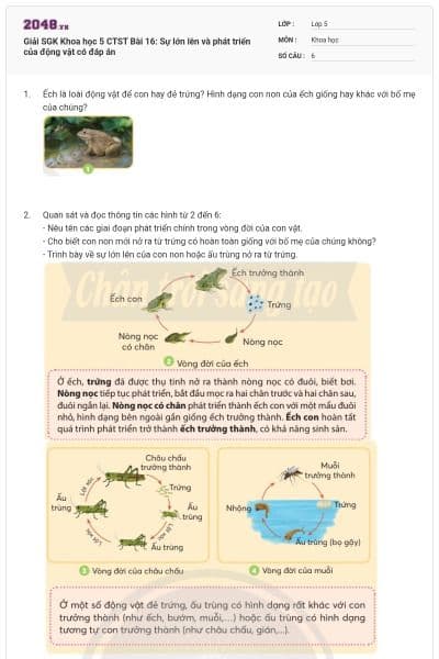 Giải SGK Khoa học 5 CTST Bài 16: Sự lớn lên và phát triển của động vật có đáp án