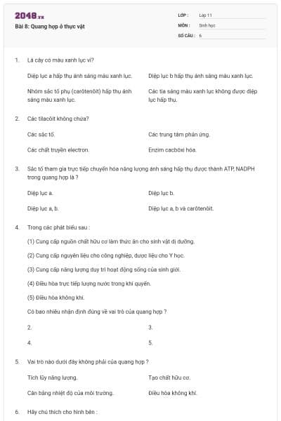 Bài 8: Quang hợp ở thực vật