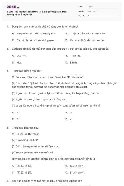 5 câu Trắc nghiệm Sinh Học 11 Bài 6 (có đáp án): Dinh dưỡng Ni-tơ ở thực vật