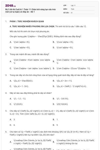 Bộ 5 đề thi Cuối kì 1 Toán 11 Chân trời sáng tạo cấu trúc mới (có tự luận) có đáp án - Đề 1