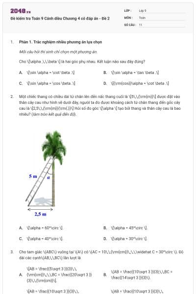 Đề kiểm tra Toán 9 Cánh diều Chương 4 có đáp án - Đề 2