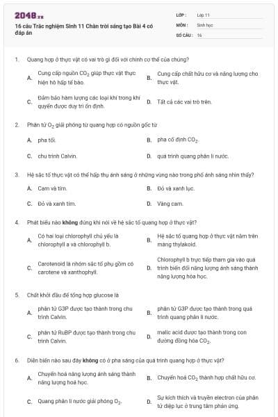 16 câu Trắc nghiệm Sinh 11 Chân trời sáng tạo Bài 4 có đáp án