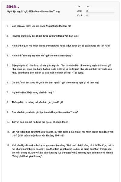 (Ngữ liệu ngoài sgk) Nỗi niềm với mẹ miền Trung