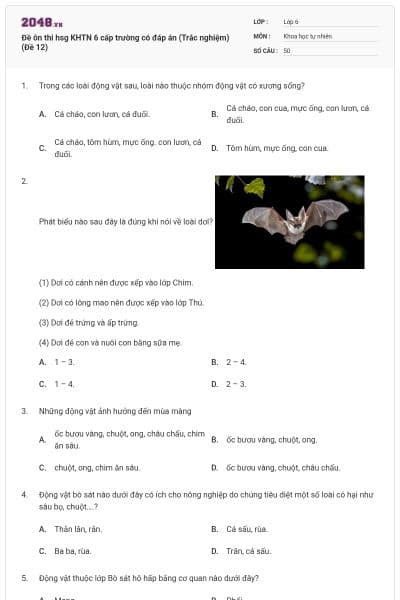 Đề ôn thi hsg KHTN 6 cấp trường có đáp án (Trắc nghiệm) (Đề 12)