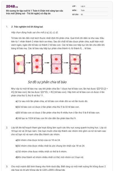 Đề cương ôn tập cuối kì 1 Toán 6 Chân trời sáng tạo cấu trúc mới (Đúng sai - Trả lời ngắn) có đáp án