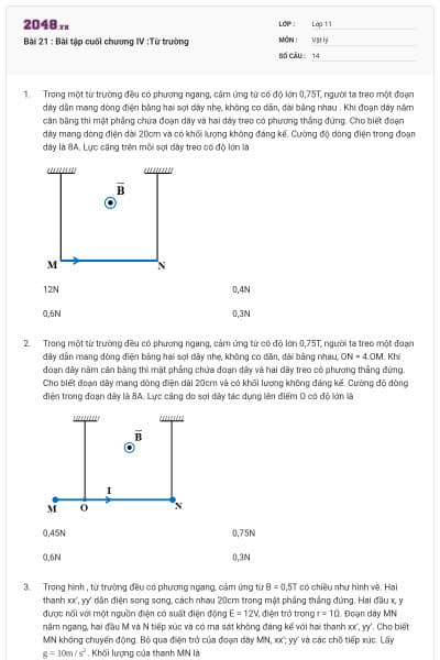 Bài 21 : Bài tập cuối chương IV :Từ trường