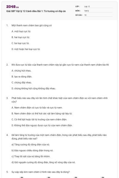 Giải SBT Vật lý 12 Cánh diều Bài 1: Từ trường có đáp án
