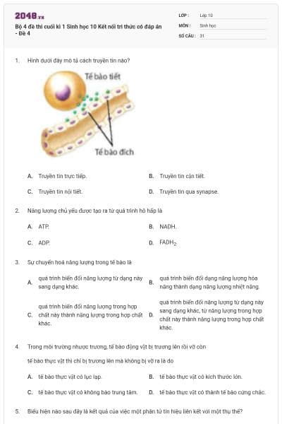 Bộ 4 đề thi cuối kì 1 Sinh học 10 Kết nối tri thức có đáp án - Đề 4