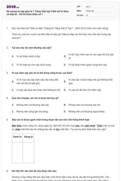 Đề cương ôn tập giữa kì 1 Tiếng Việt lớp 5 Kết nối tri thức có đáp án - Đề thi tham khảo số 1