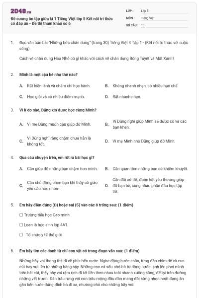 Đề cương ôn tập giữa kì 1 Tiếng Việt lớp 5 Kết nối tri thức có đáp án - Đề thi tham khảo số 6