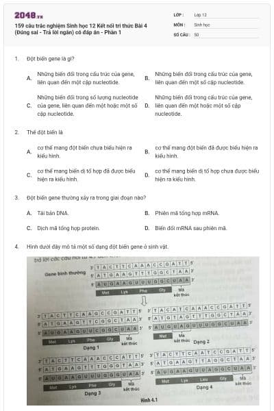 159 câu trắc nghiệm Sinh học 12 Kết nối tri thức Bài 4 (Đúng sai - Trả lời ngắn) có đáp án - Phần 1