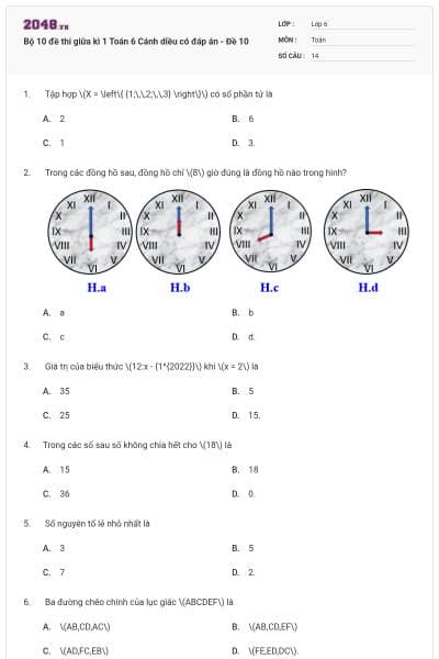 Bộ 10 đề thi giữa kì 1 Toán 6 Cánh diều có đáp án - Đề 10