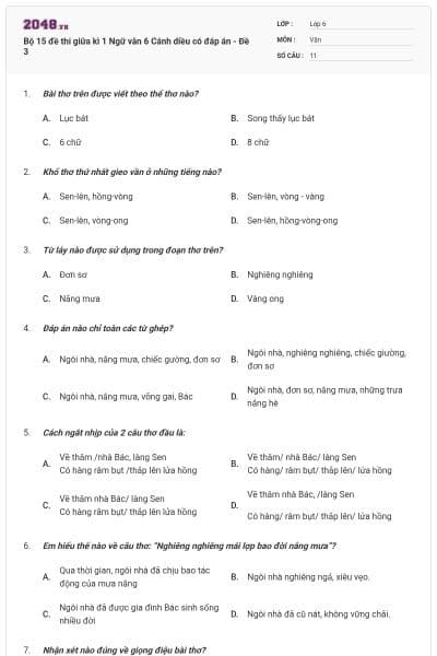 Bộ 15 đề thi giữa kì 1 Ngữ văn 6 Cánh diều có đáp án - Đề 3