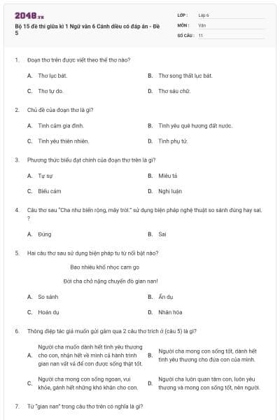 Bộ 15 đề thi giữa kì 1 Ngữ văn 6 Cánh diều có đáp án - Đề 5